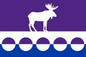 Flag of Nykal