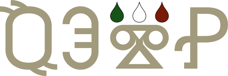 File:QEyN logo.png